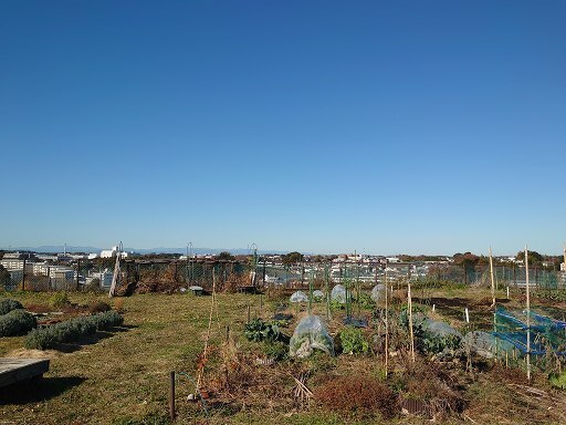 2023-12-13 12.00.01.jpg