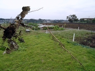 DSC06065.jpg