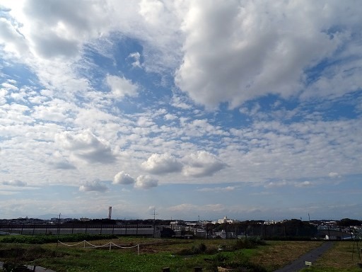 DSC06265.jpg