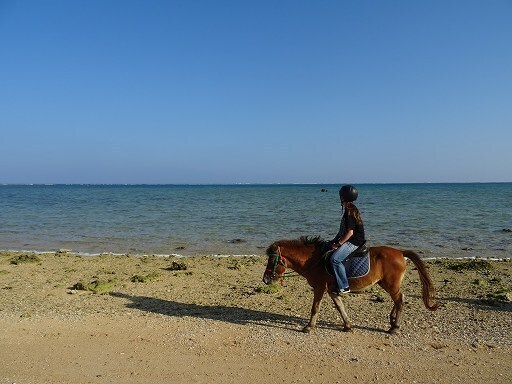 DSC06324.jpg