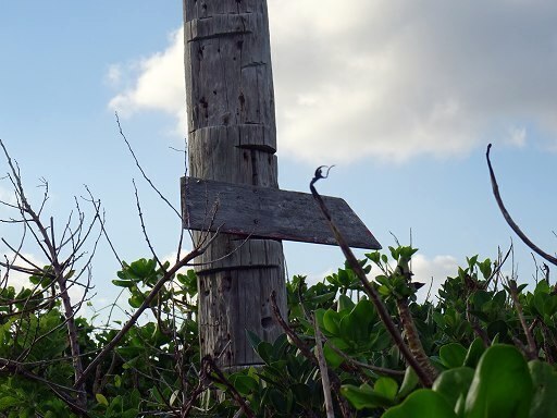 DSC06505.jpg