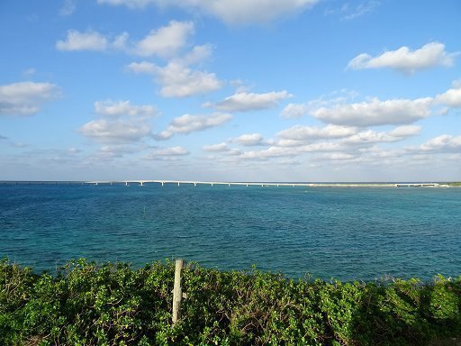 DSC06514.jpg