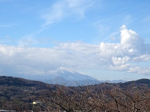 DSC07547.jpg