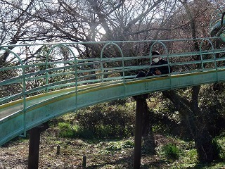 DSC07548.jpg