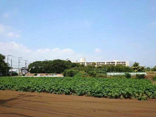 DSC_0034.jpg