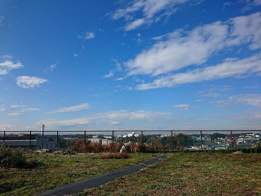DSC_0404.jpg