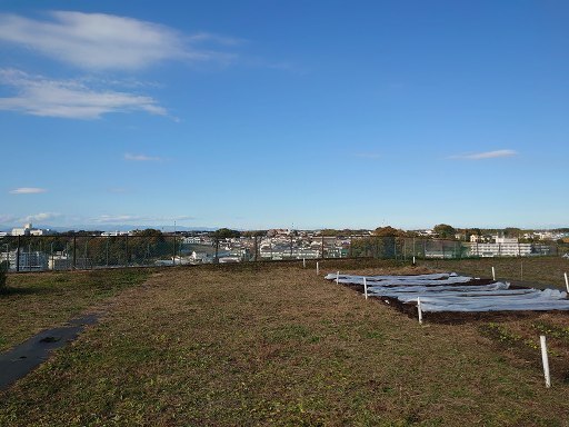 DSC_0754.jpg