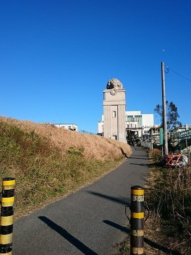 DSC_0844.jpg