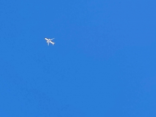 DSC_0865.jpg