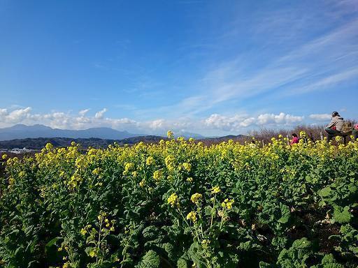 DSC_0966.jpg