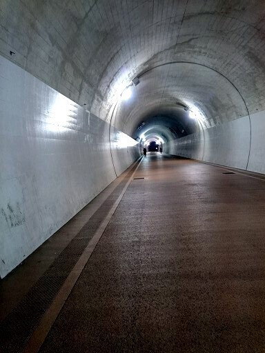 DSC_1081.jpg