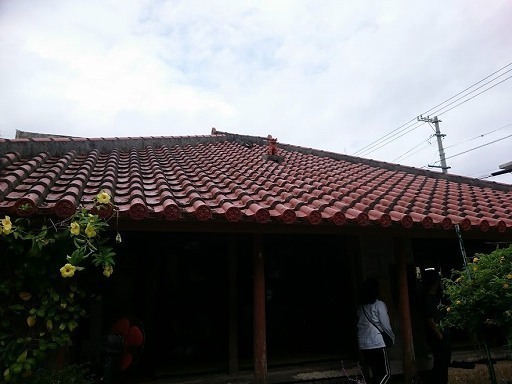 DSC_1178.jpg