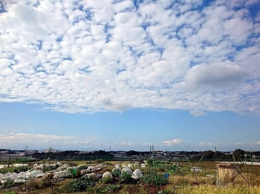 DSC_1303.jpg