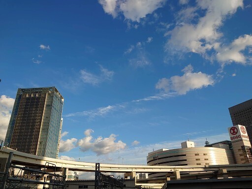 DSC_1471.jpg