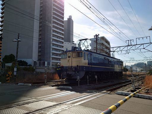 DSC_1907.jpg