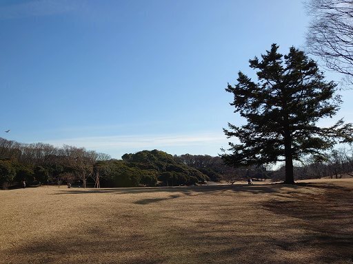 DSC_2183.jpg