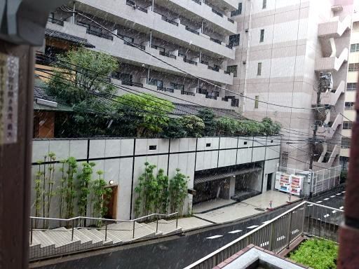 DSC_2442.jpg