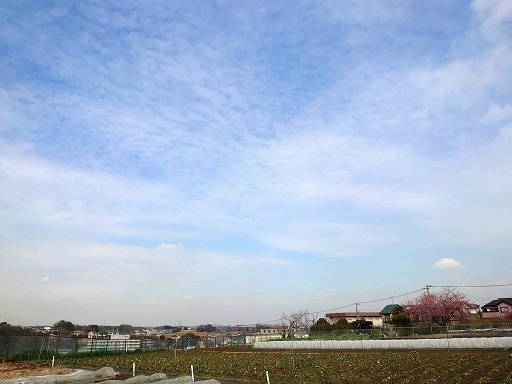 DSC_2958.jpg