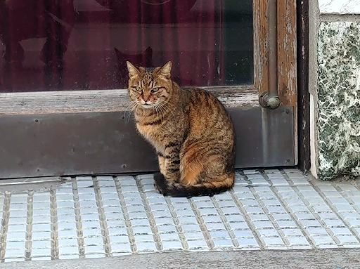 DSC_2995.jpg