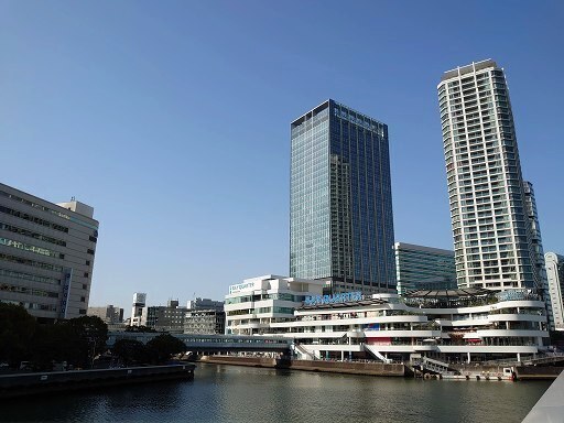 DSC_3371.jpg