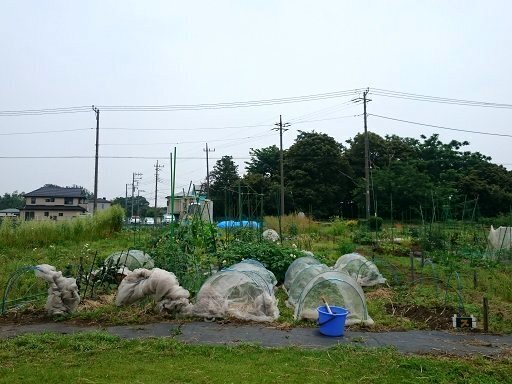 DSC_3564.jpg