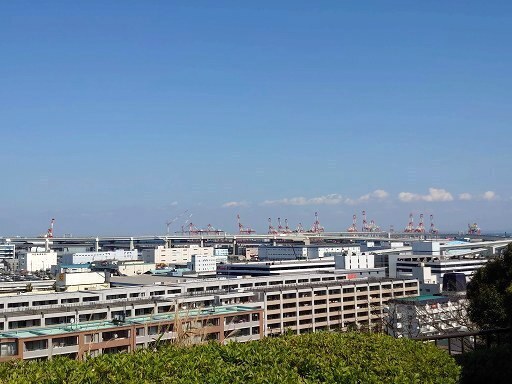 DSC_3590.jpg