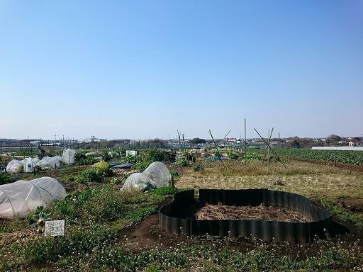 DSC_4085.jpg
