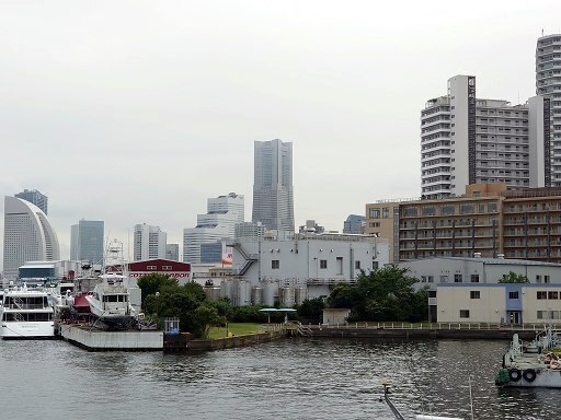 DSC_4643.jpg