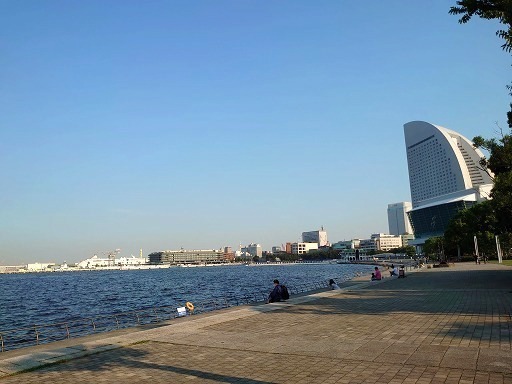 DSC_5408.jpg
