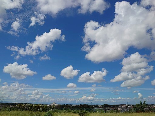 DSC_5626.jpg