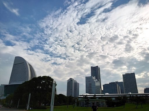 DSC_5748.jpg