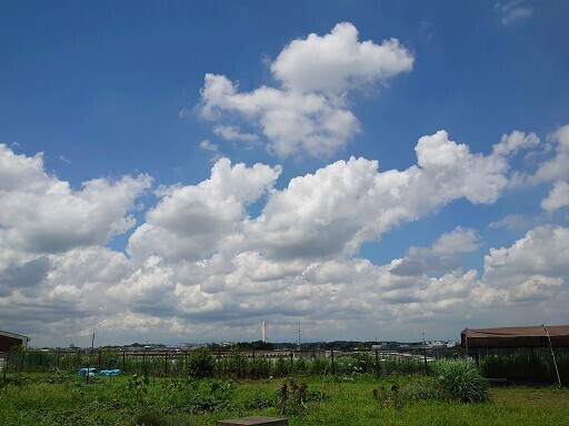 DSC_6092.jpg