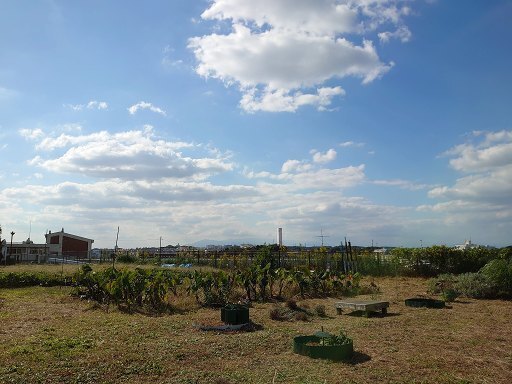 DSC_6540.jpg