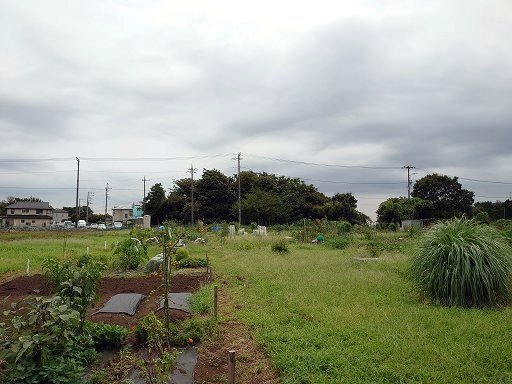 DSC_6950.jpg