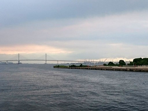 DSC_7169.jpg