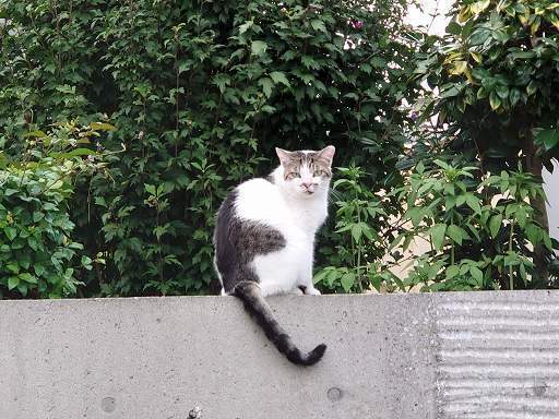 DSC_7735.jpg