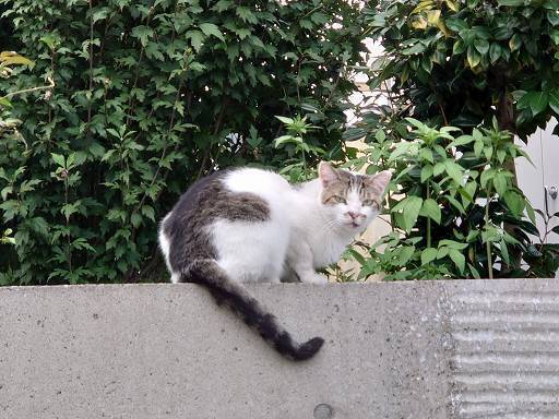 DSC_7738.jpg