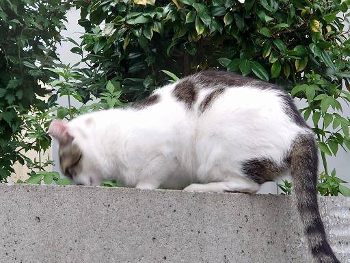 DSC_7741.jpg
