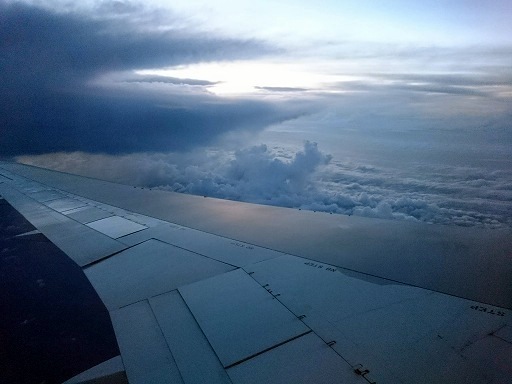 DSC_8016.jpg