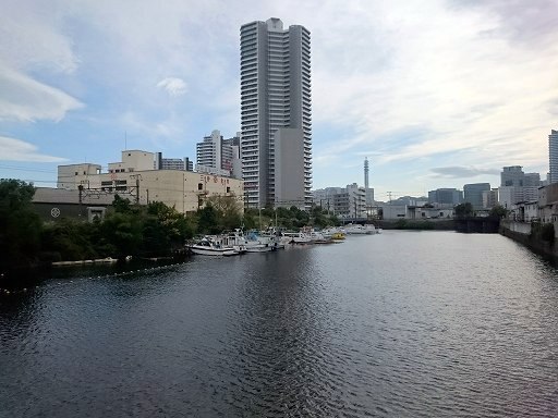DSC_8691.jpg