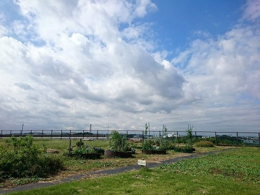 DSC_8777.jpg