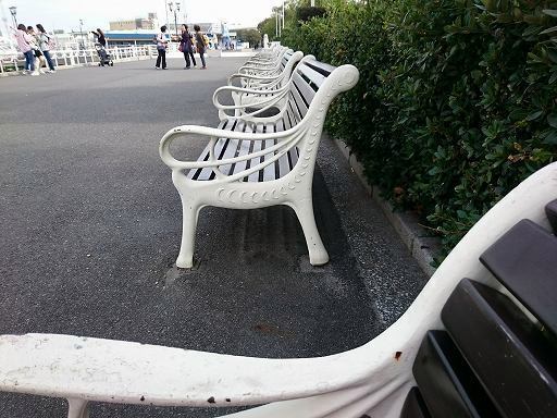 DSC_8797.jpg
