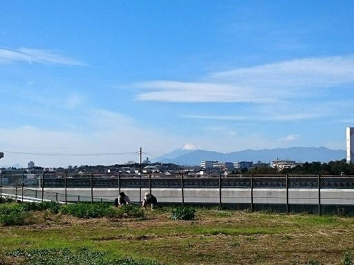 DSC_9264.jpg