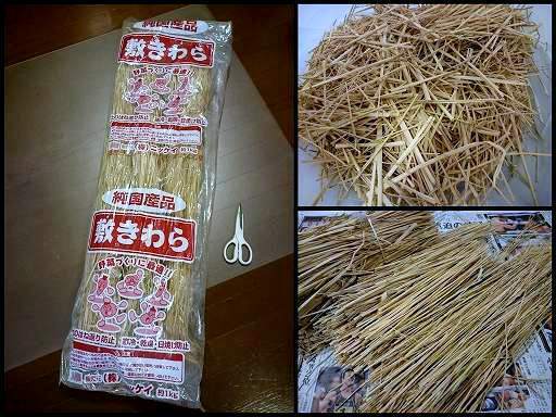 ブログ用201904.jpg