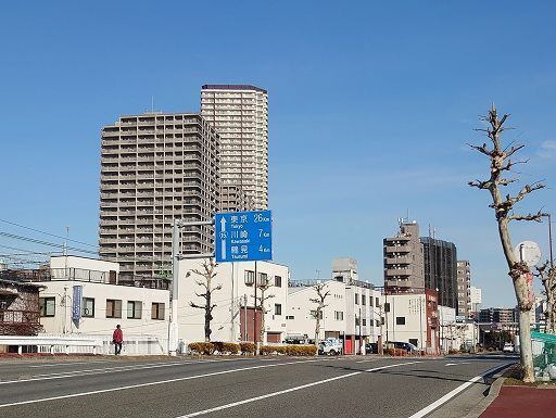 IMG_20220212_135328.jpg