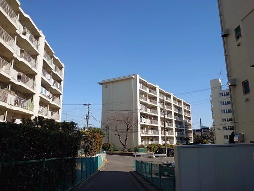 IMG_20220226_140349.jpg
