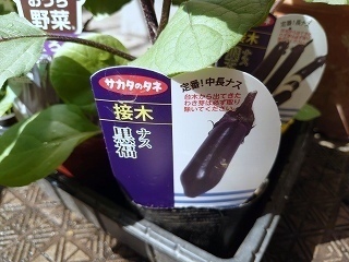 IMG_20220421_090636.jpg