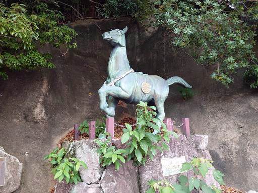 IMG_20220705_152519.jpg