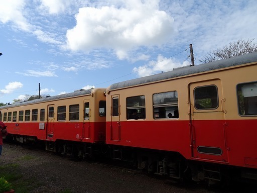 DSC01339.jpg