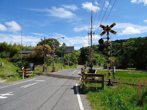 DSC01483.jpg